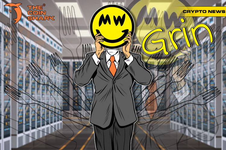 Cryptocurrency Grin Executes Its First Hard Fork