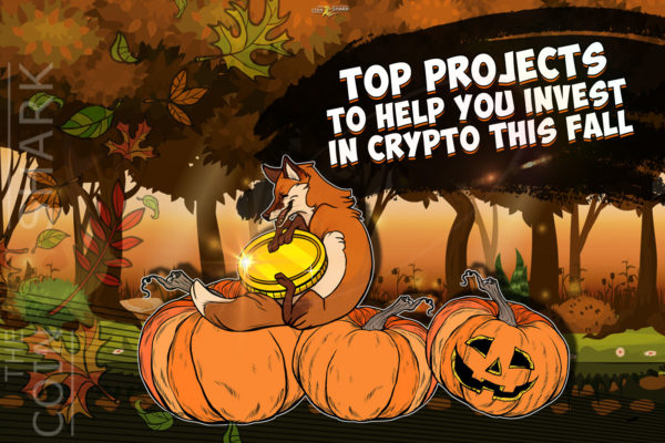 Autumn. Pumpkin. Fox. TOP ICO